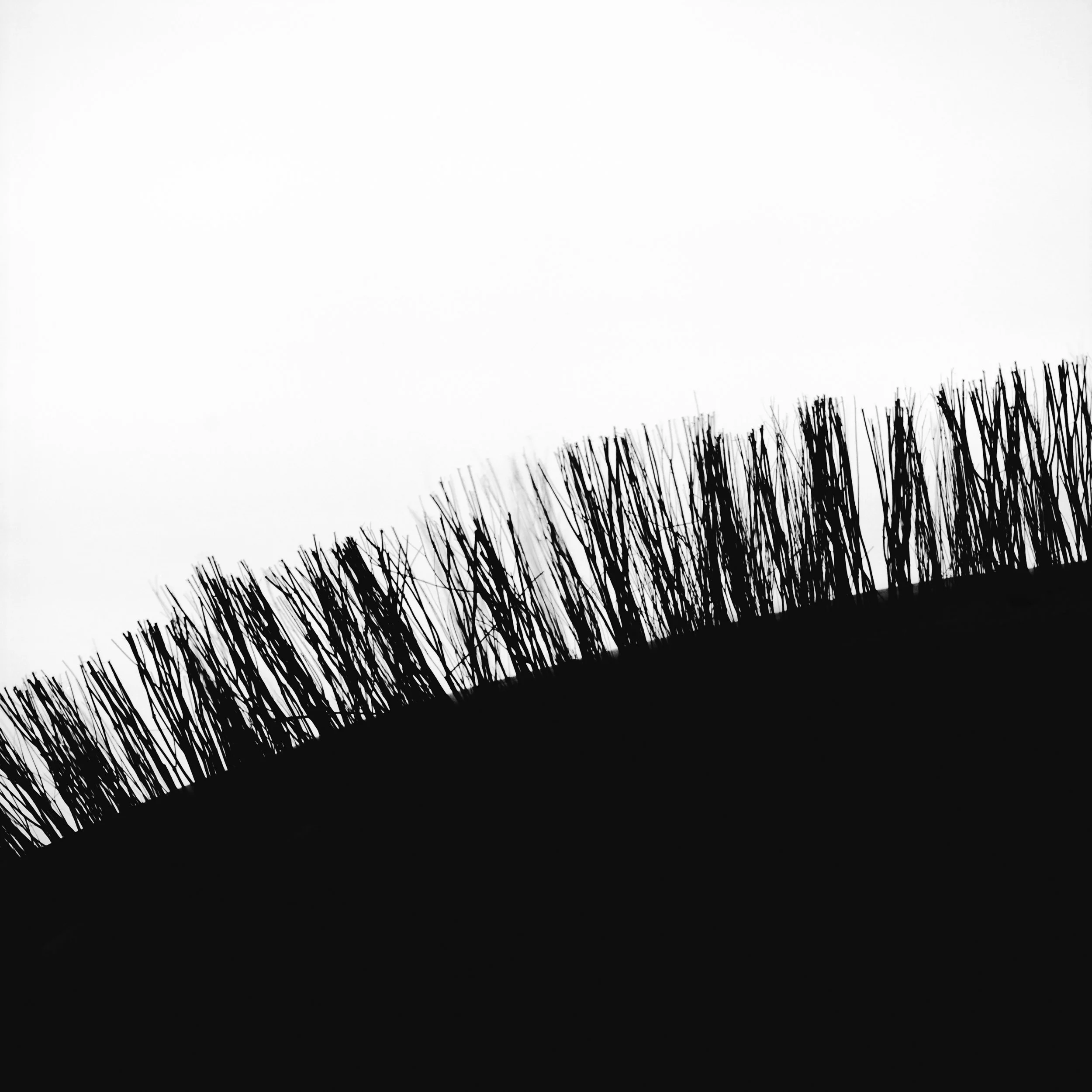 Noorderstrand, The Hague, Netherlands, 2022