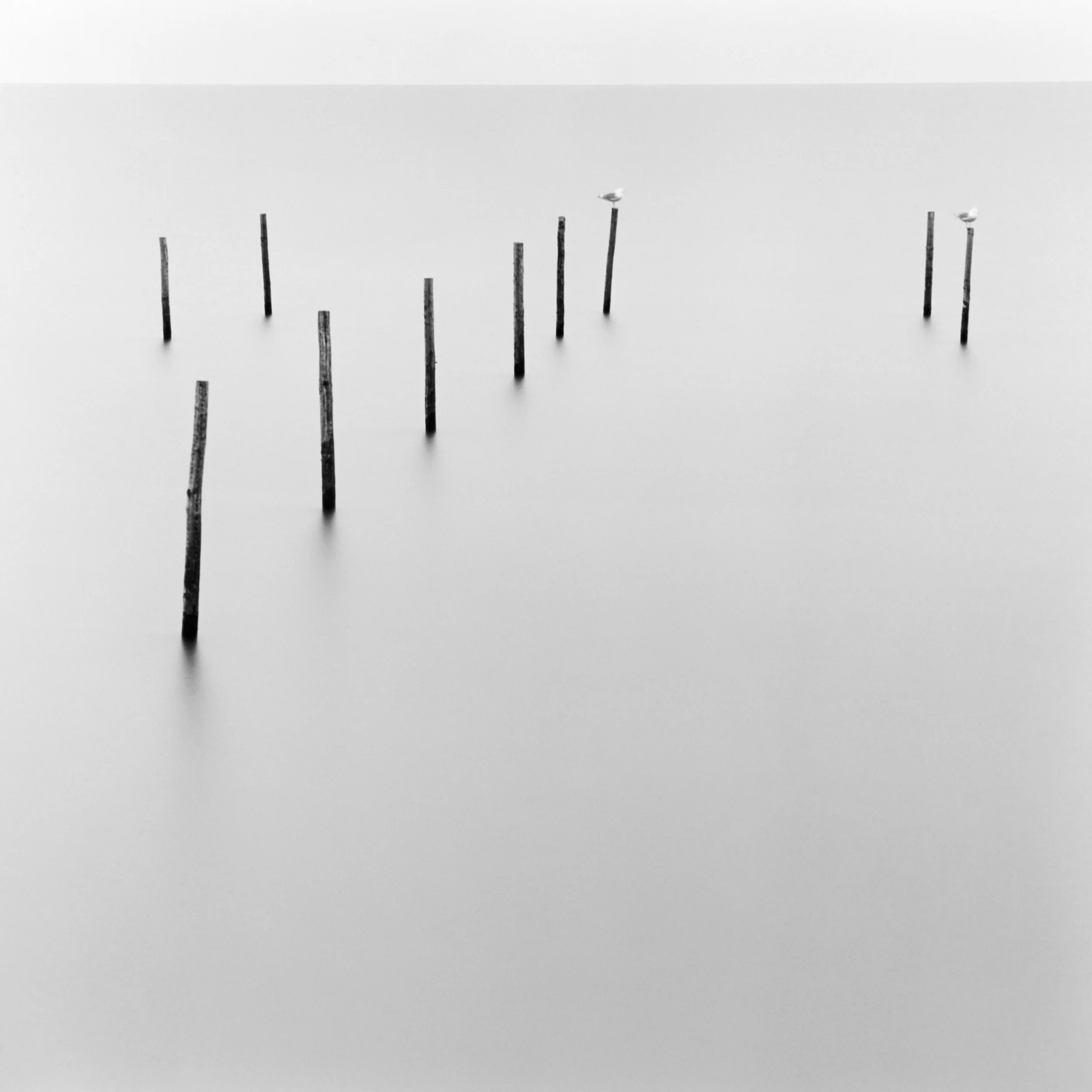 Markerstrekdam, Lelystad, Netherlands, 2023