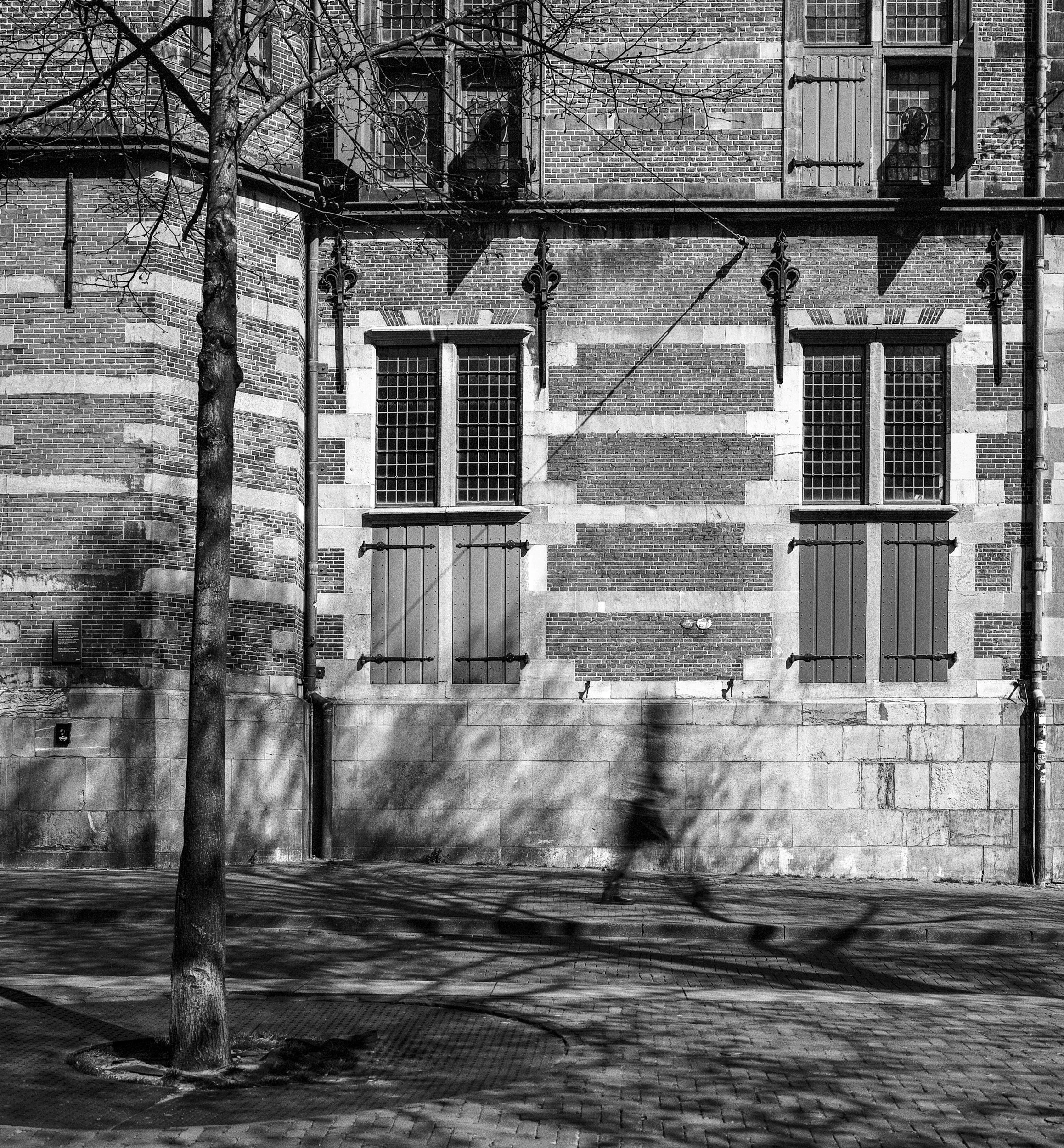 Dagelijkse Groenmarkt, The Hague, Netherlands, 2025