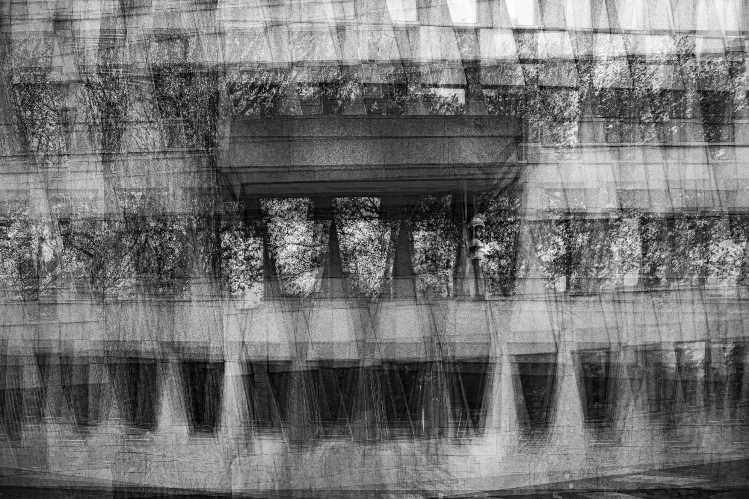 Lange Voorhout, The Hague, Netherlands, 2020