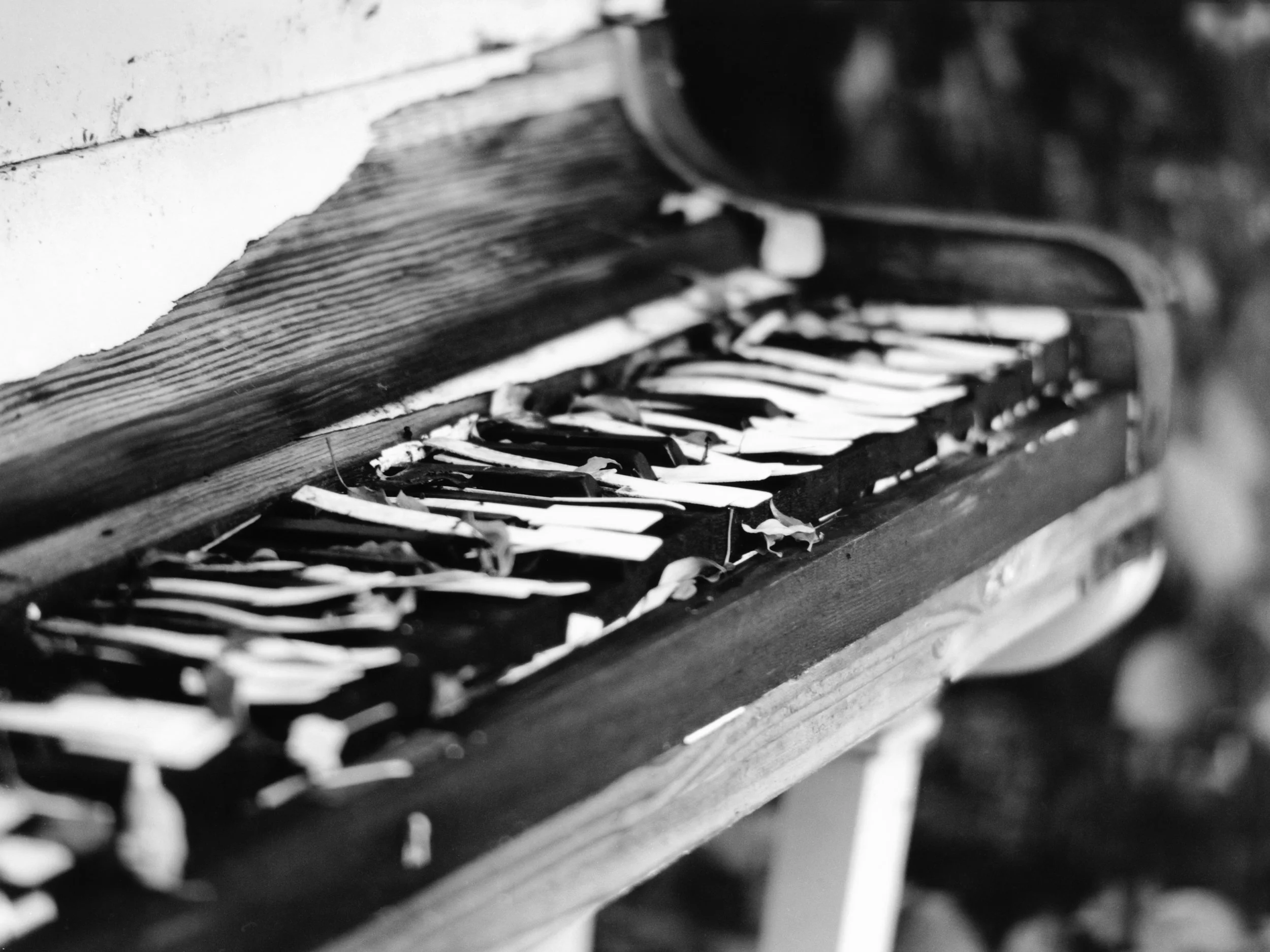 Almere, Netherlands, 2013