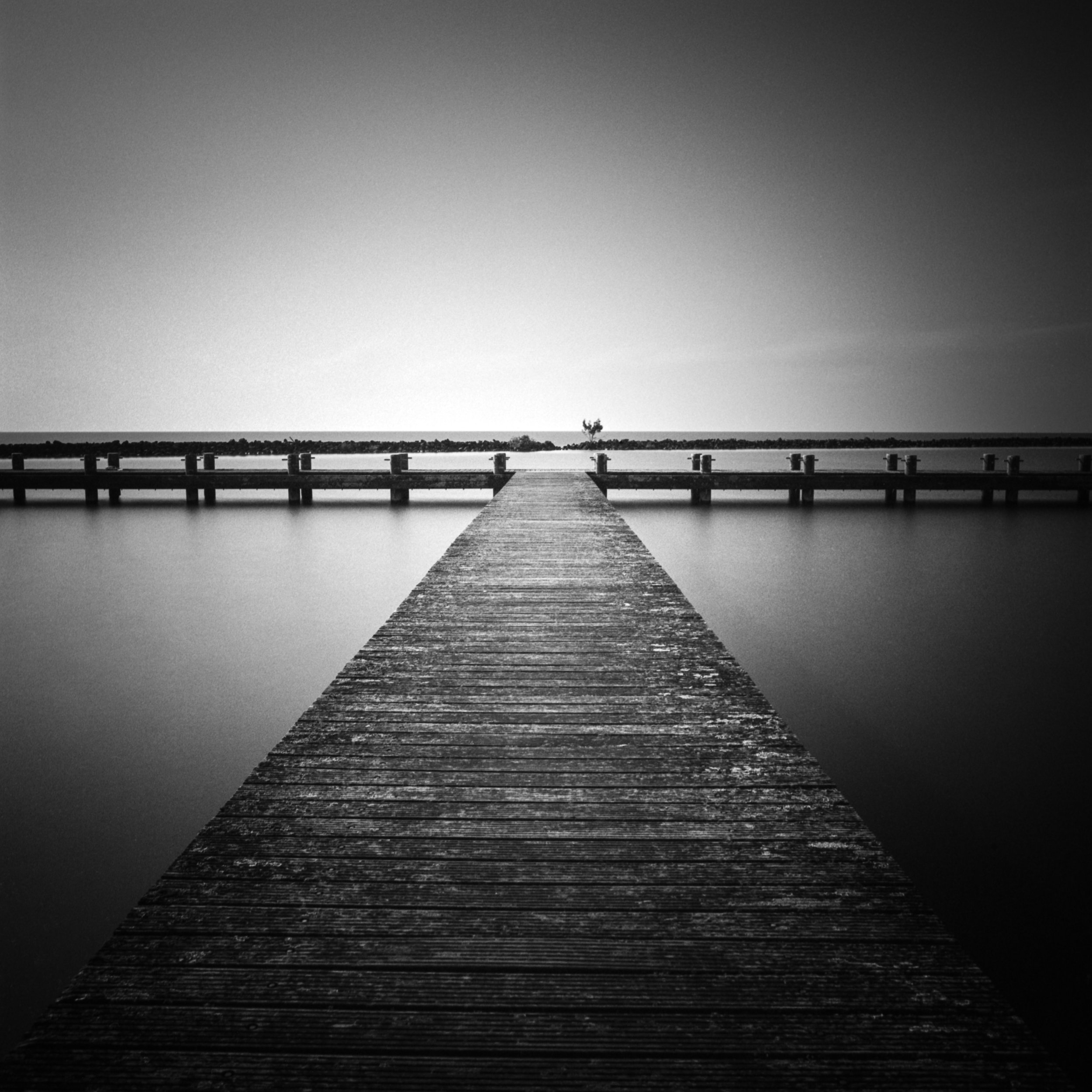 Oostvaardersdijk, Lelystad, Netherlands, 2024