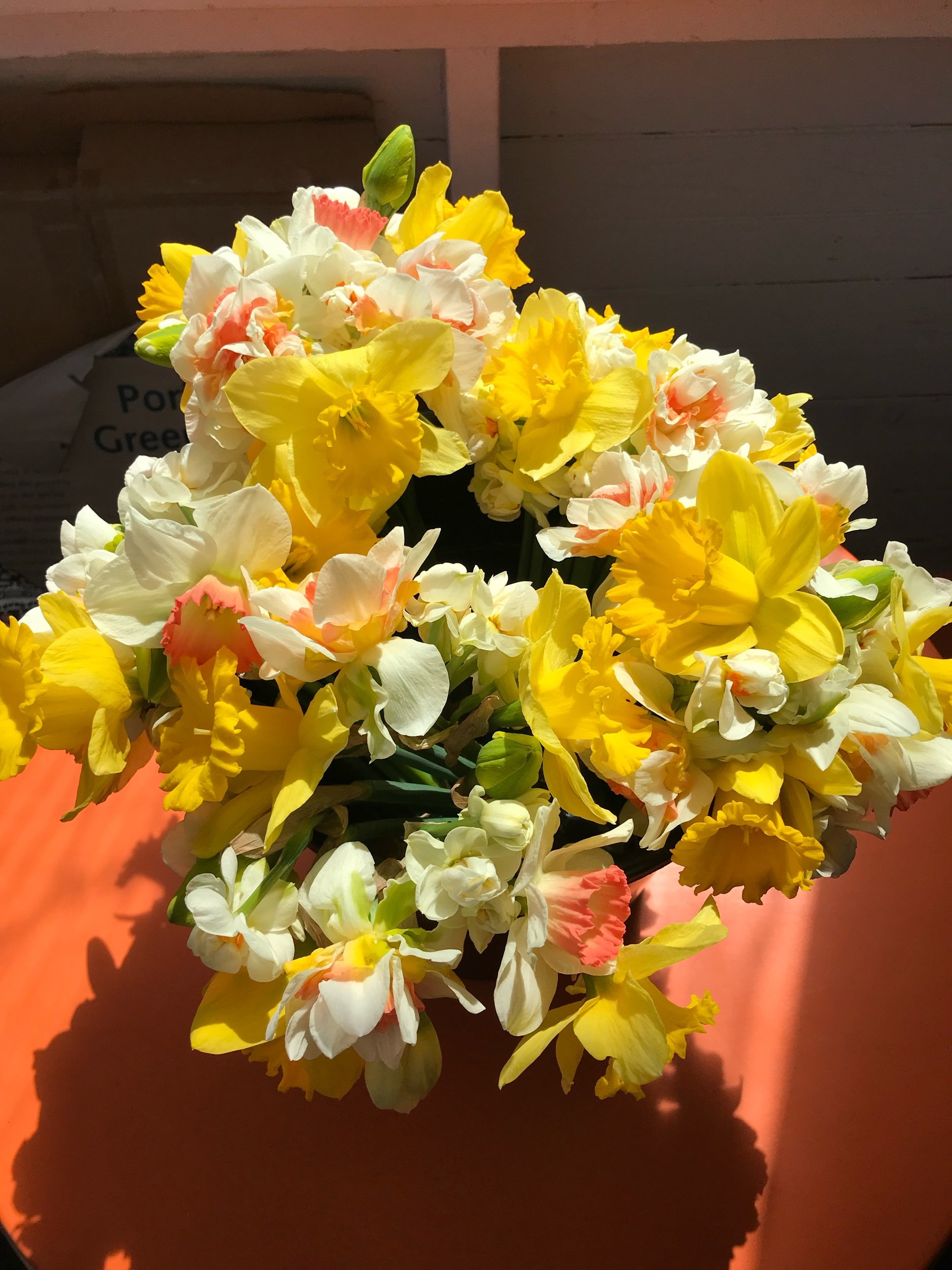 Spring Flower CSA