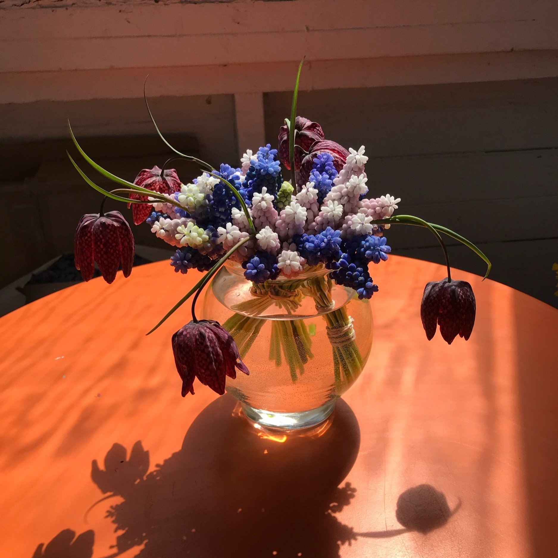 F9A70699-07A2-47C1-863F-B361F031149A.jpg