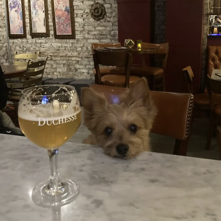 2026-01-29 15_13_05-Greenshot.png