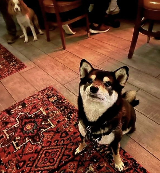 2026-01-29 15_11_42-Greenshot.png