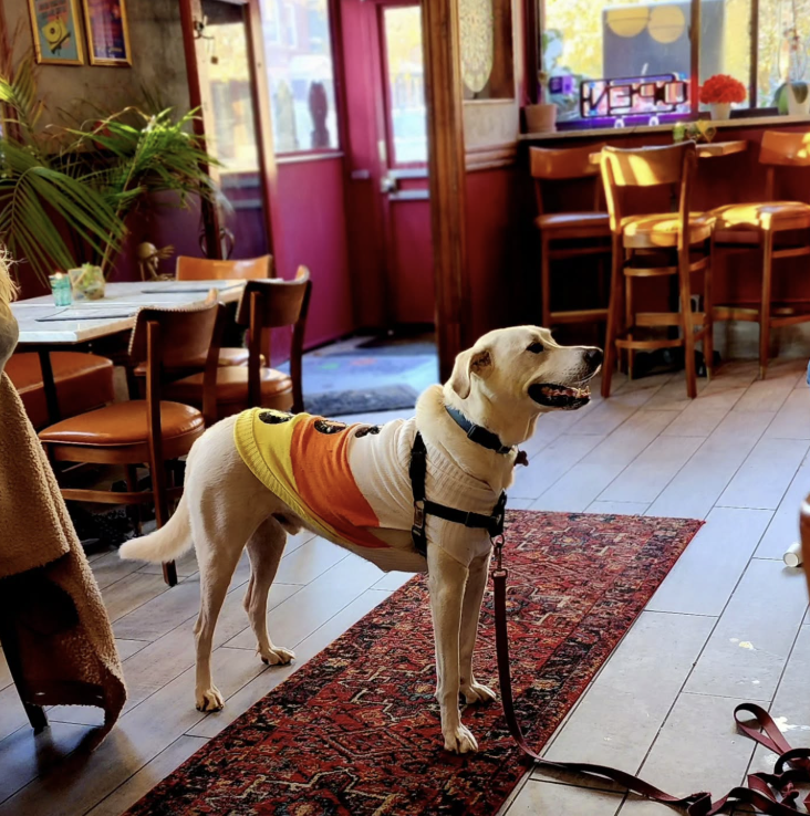 2026-01-29 15_09_37-Greenshot.png