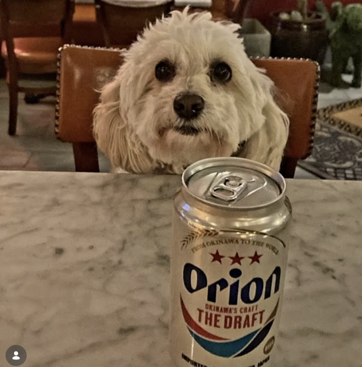 2026-01-29 15_12_07-.png