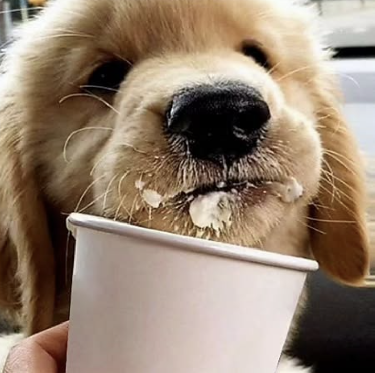 2026-01-29 15_10_00-Greenshot.png