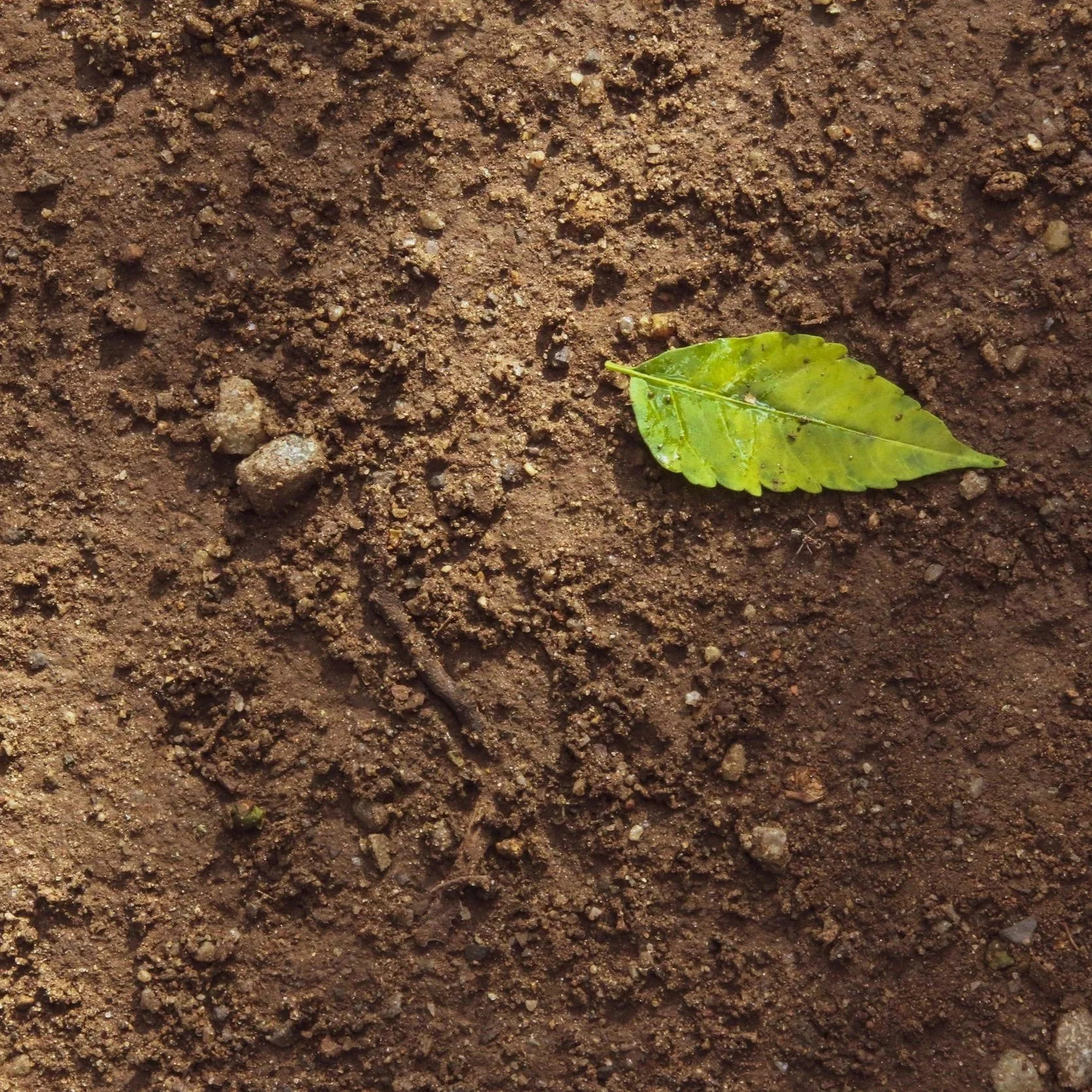 Custom Well Screen Designs for Specific Soil Conditions