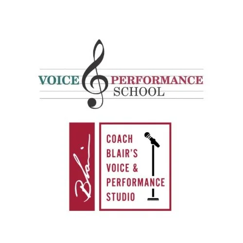 Voice and Performance School