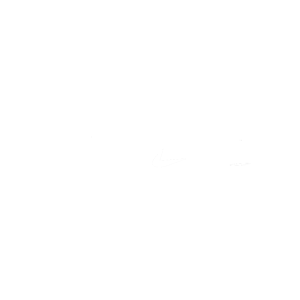 Vice .png