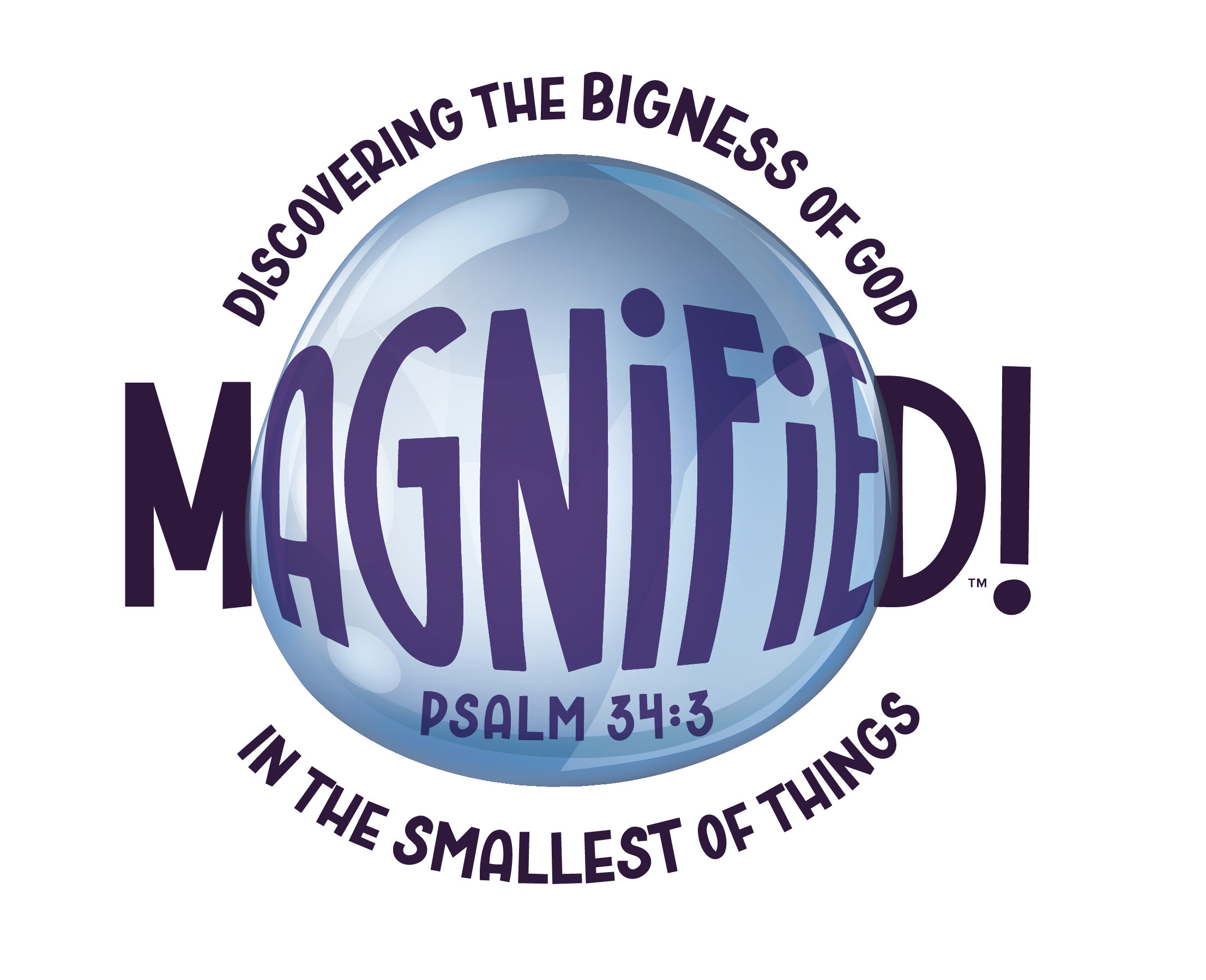 VBS Magnified!