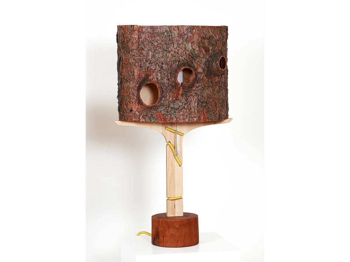 Spruce Bark Lamps + Tables