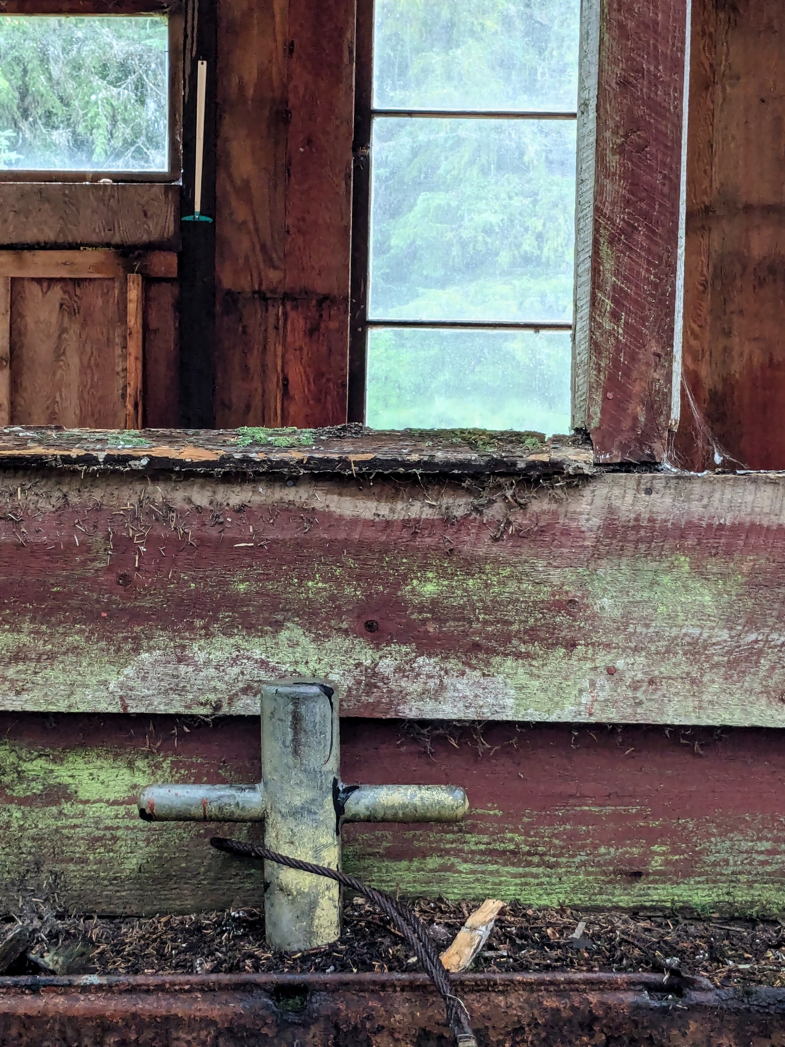 PXL_20240723_163851201.jpg