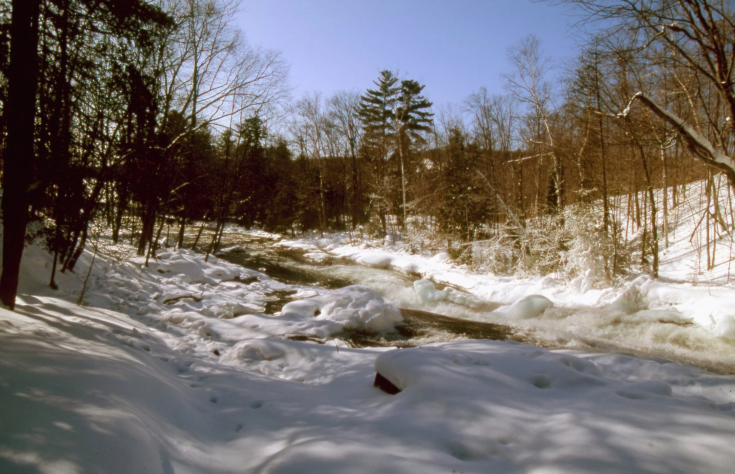 Buttermilk falls Minden Ontario Winter.jpg