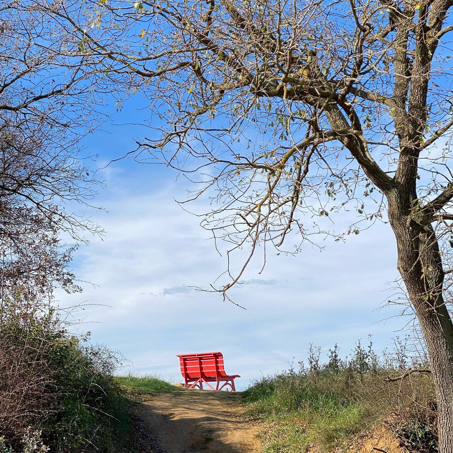 El cam&iacute; sempre est&agrave; ple de sorpreses ❤️ #wearelivingthings

#thebigbench #landscape #nature #natural #terra #terracotta #cami #sorpreses