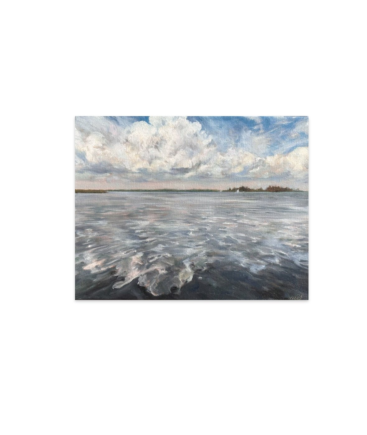 Fresh Wind
