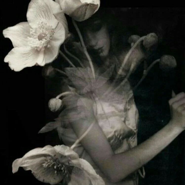 Taurus New Moon: What Are You Truly Cultivating?