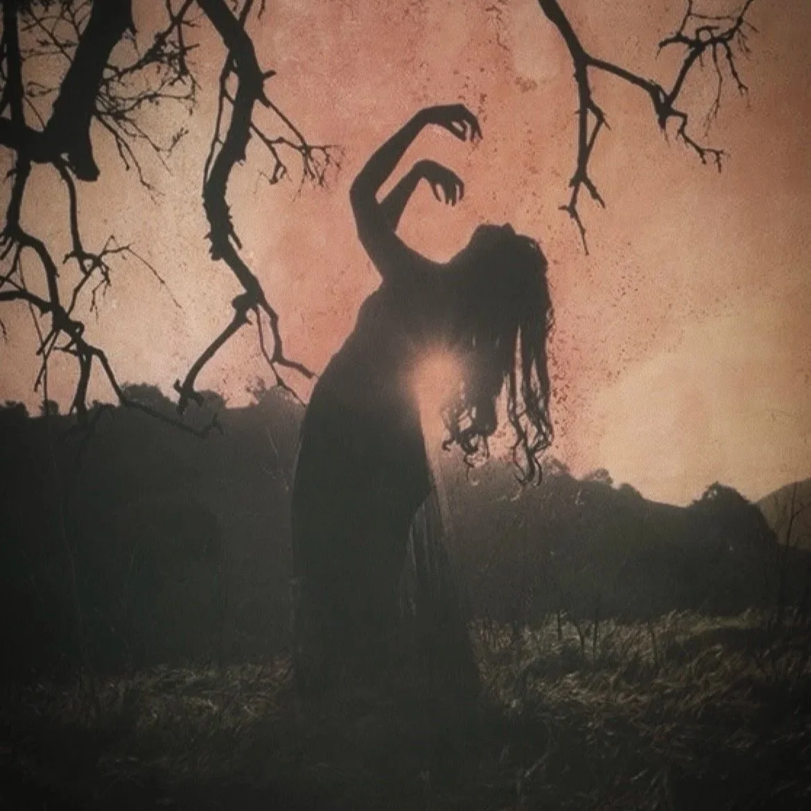 Leo New Moon Solar Eclipse: Who Are You Beneath the Performance?