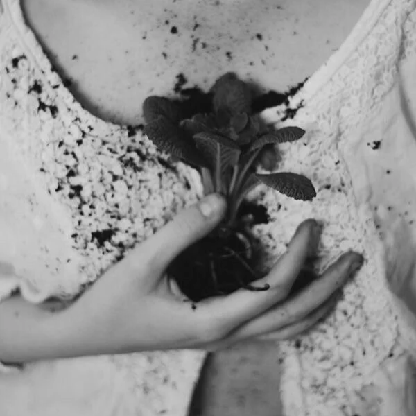 Virgo New Moon: Clear the Space, Make the Plan, Plant the Seed