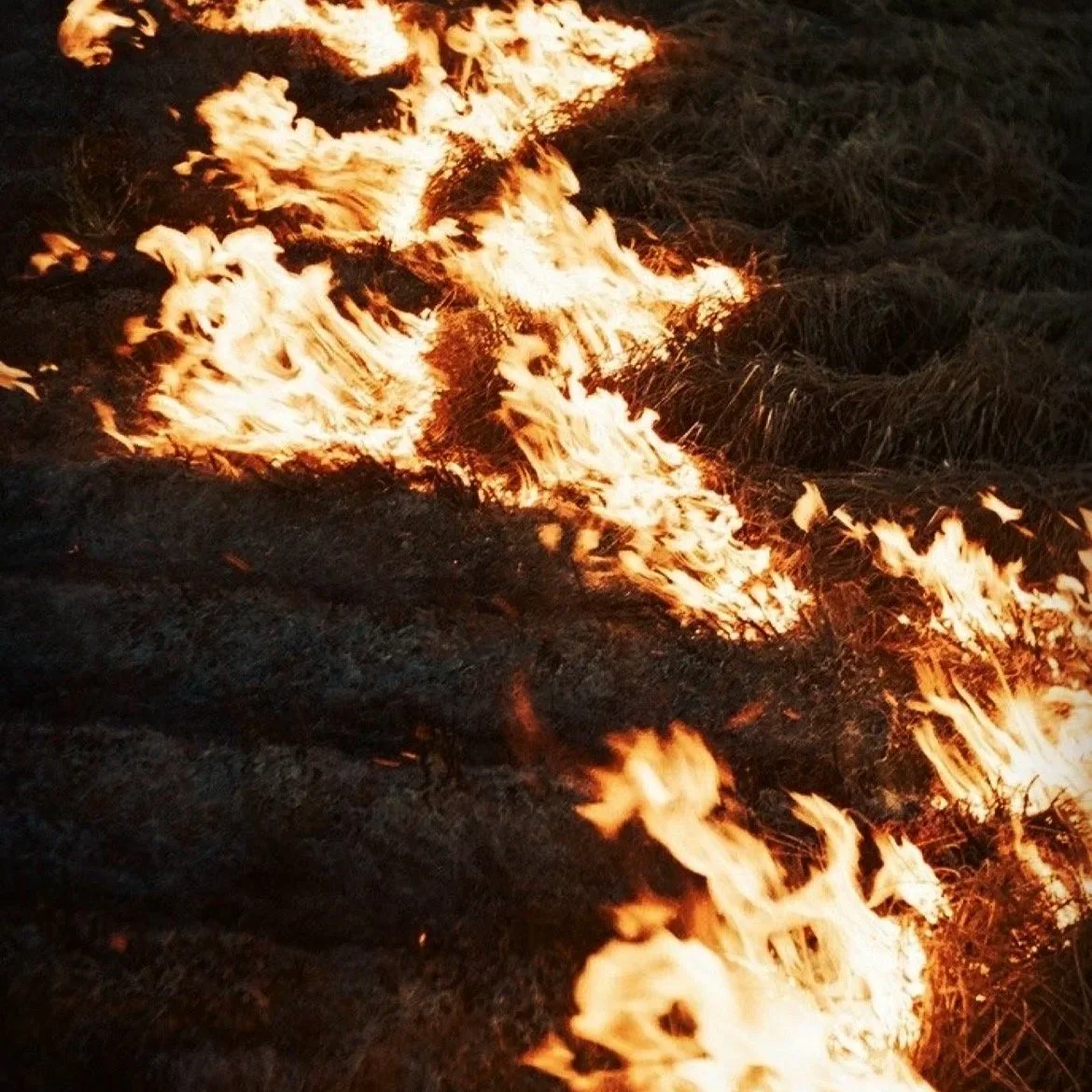 Aries Full Moon: Reclaiming Self Through Release