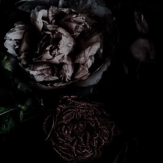 Libra New Moon: Relationships + Boundaries