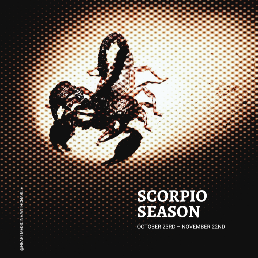 Scorpio Season: Shadow Work &amp; Transformation