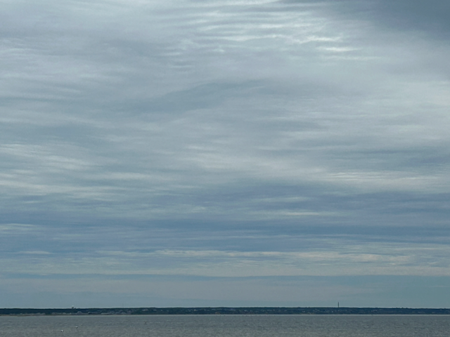 IMG_8084.png