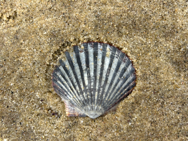 IMG_8091.png