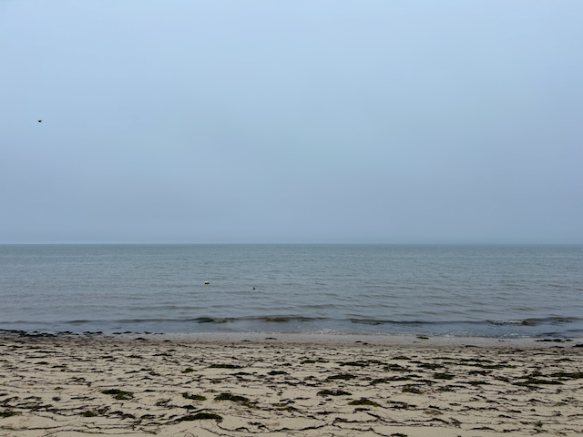 IMG_8118.png