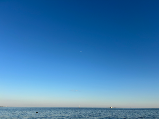 IMG_8133.png
