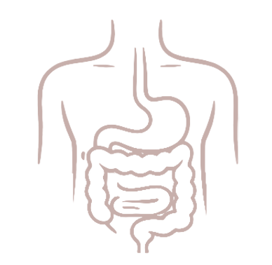 gut health and digestion naturopathy in stoney creek graphic