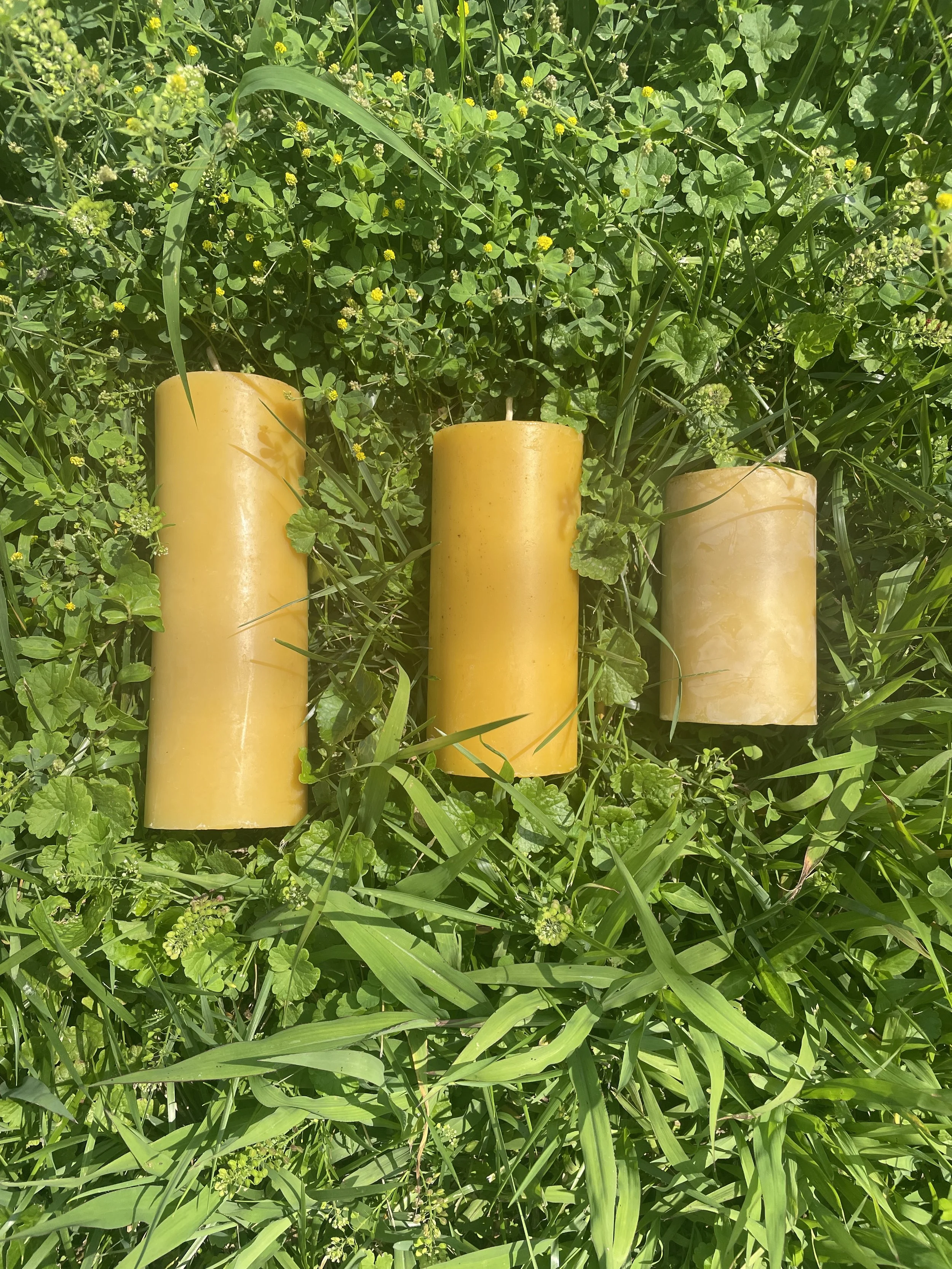 Pillar Collection - Full Set