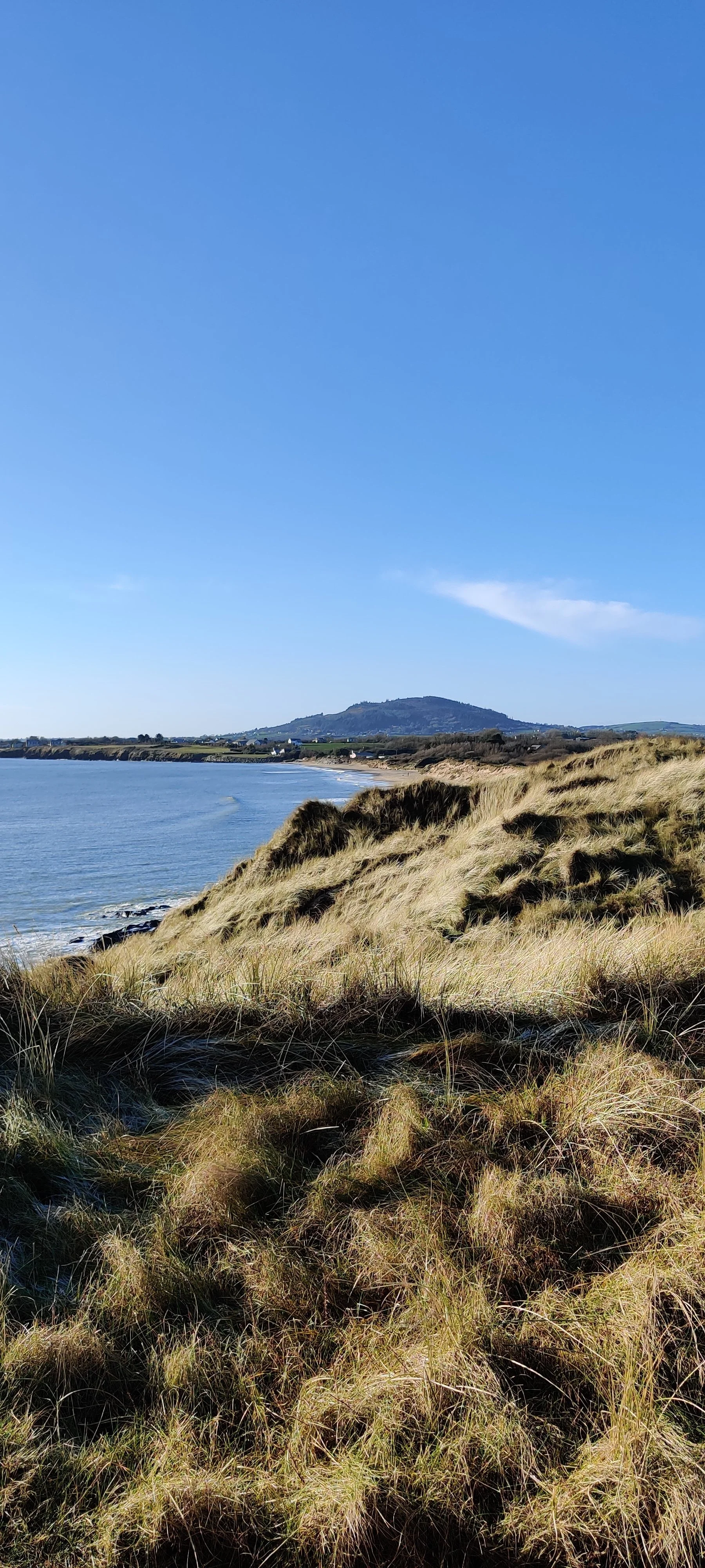 Dunes | Coastal Landscape Print | County Wexford, Ireland