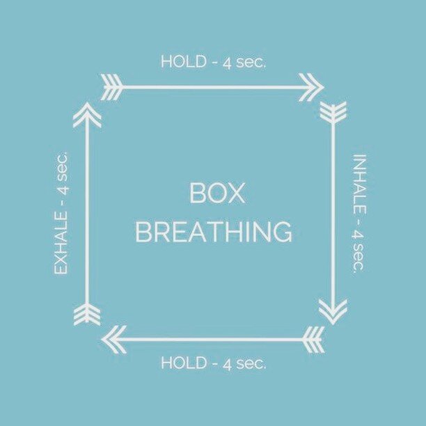 💫 During acupuncture sessions, I often suggest some breathing visualizations and techniques to help relax the nervous system. One of my favorites is called Box breathing 💫

This breathing techniques helps with:

🍃calming the nervous system

🍃aidi