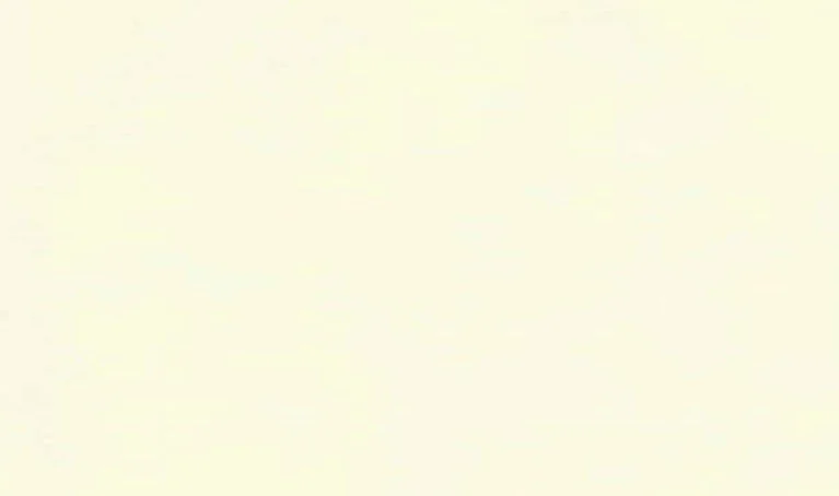 040/1 Pale Yellow Off- White