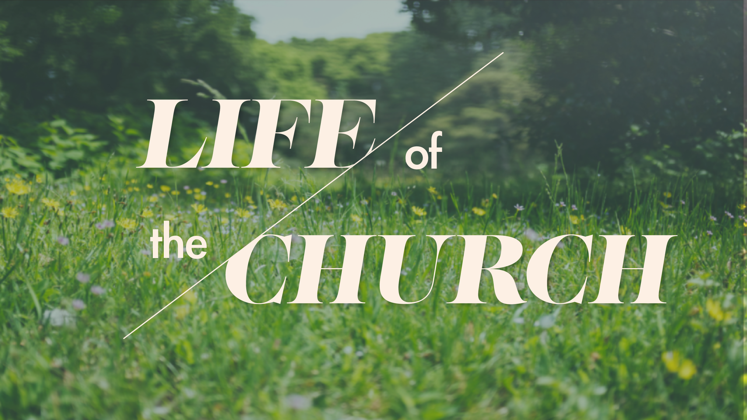 Life of the Church