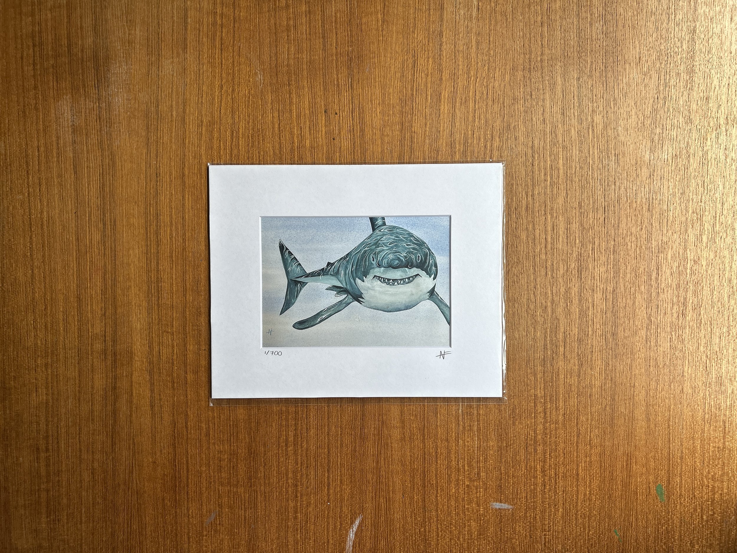 IMG_5227.jpeg