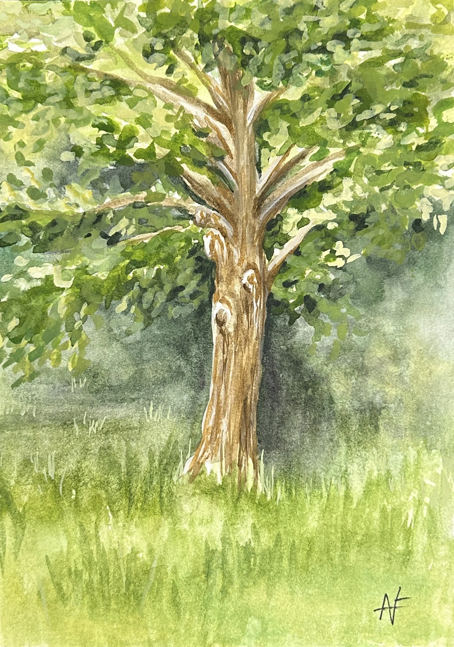 A Tree in the Backyard