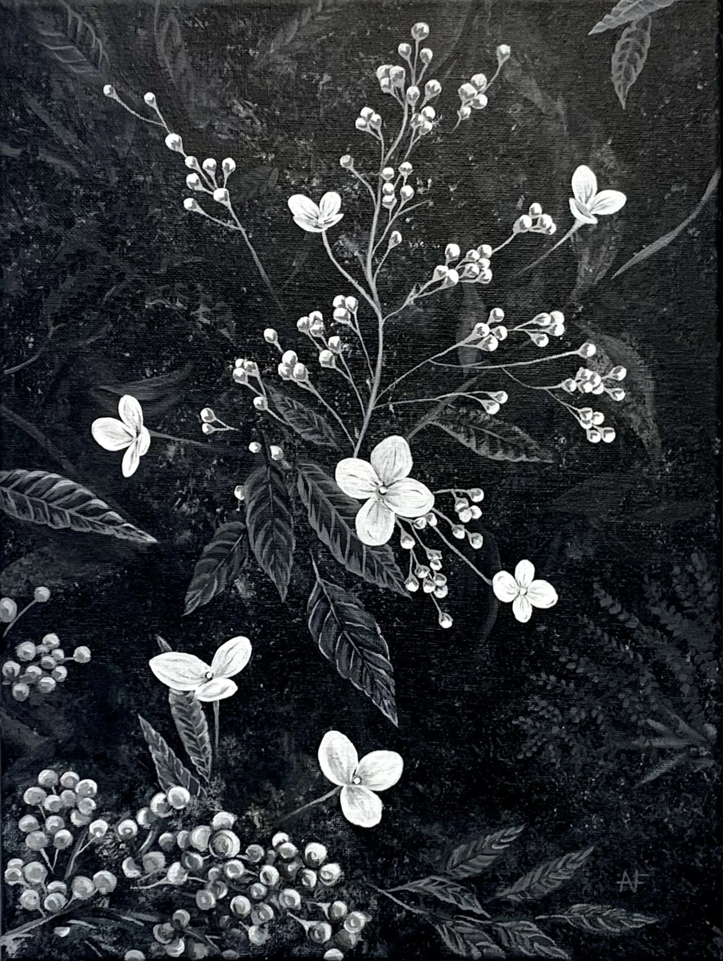 Nightbloom - prints available 