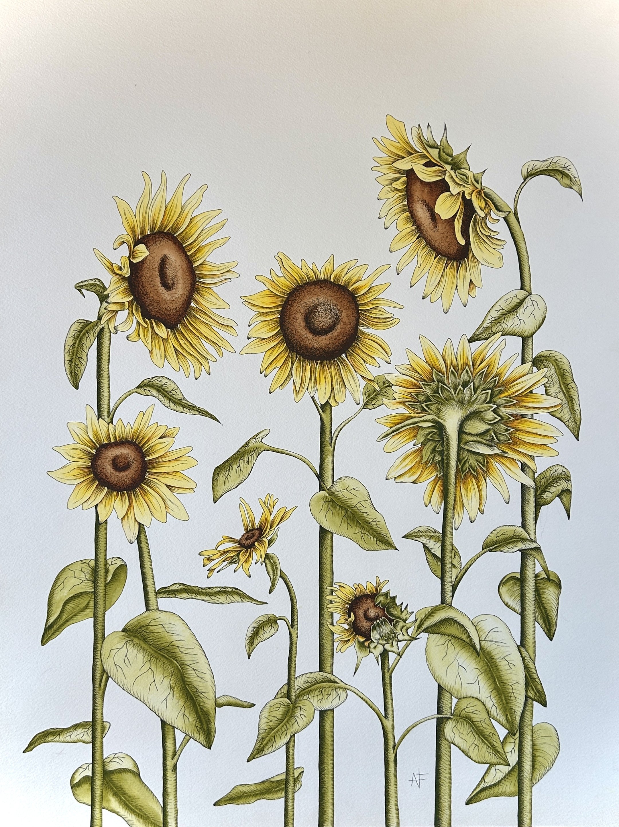 Room to Grow - prints available 