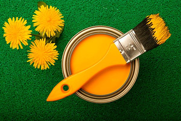 La Peinture Dépolluante : Un Pas Vers Un Environnement Plus Sain