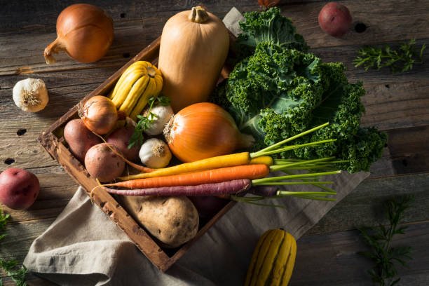 istockphoto-903445498-612x612.jpg