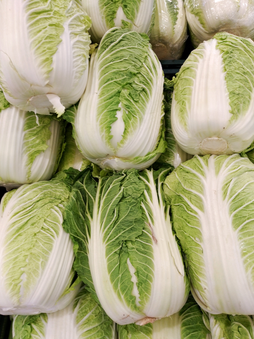 Napa_cabbages.png
