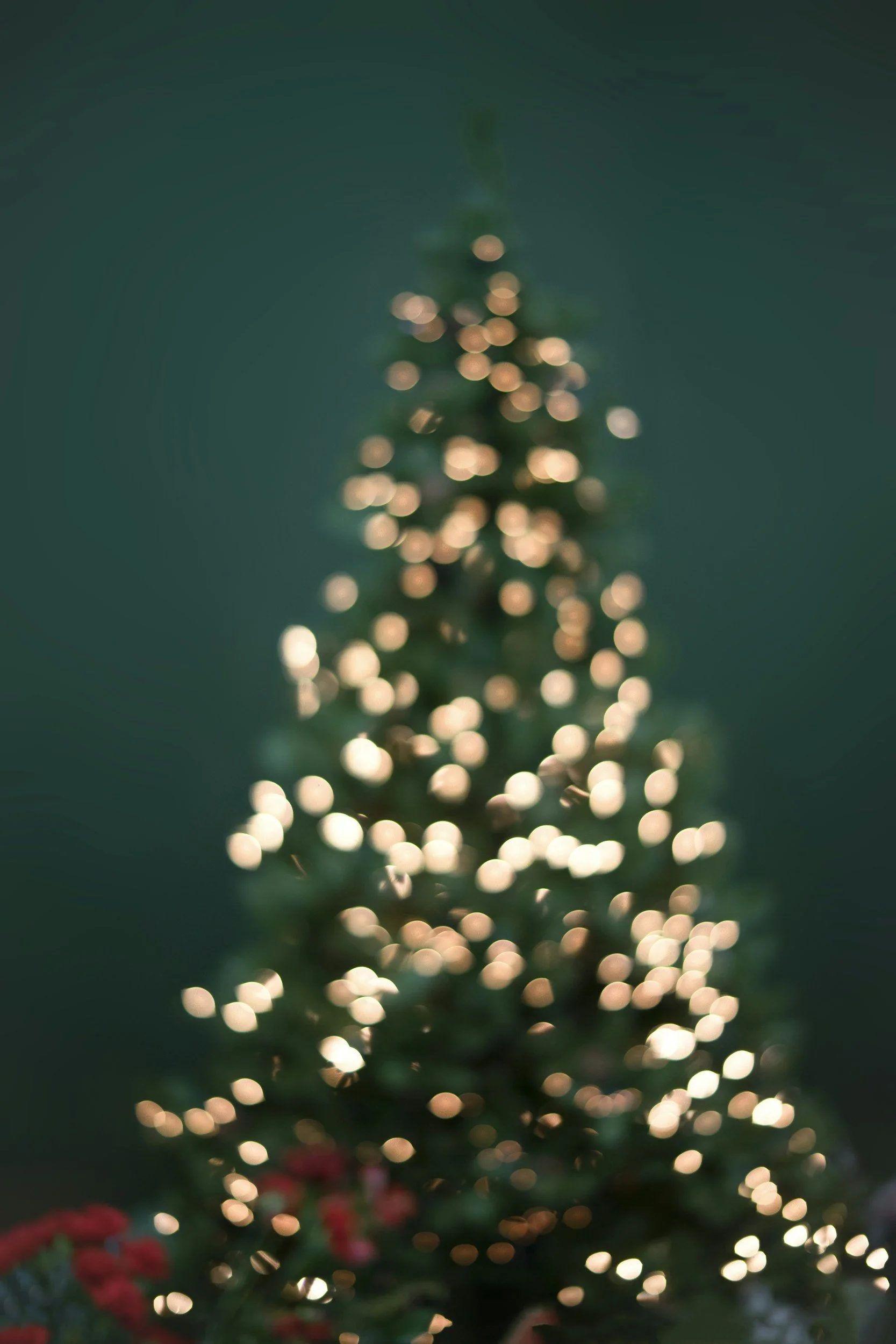 December Specials to Support You Through the Holiday Season