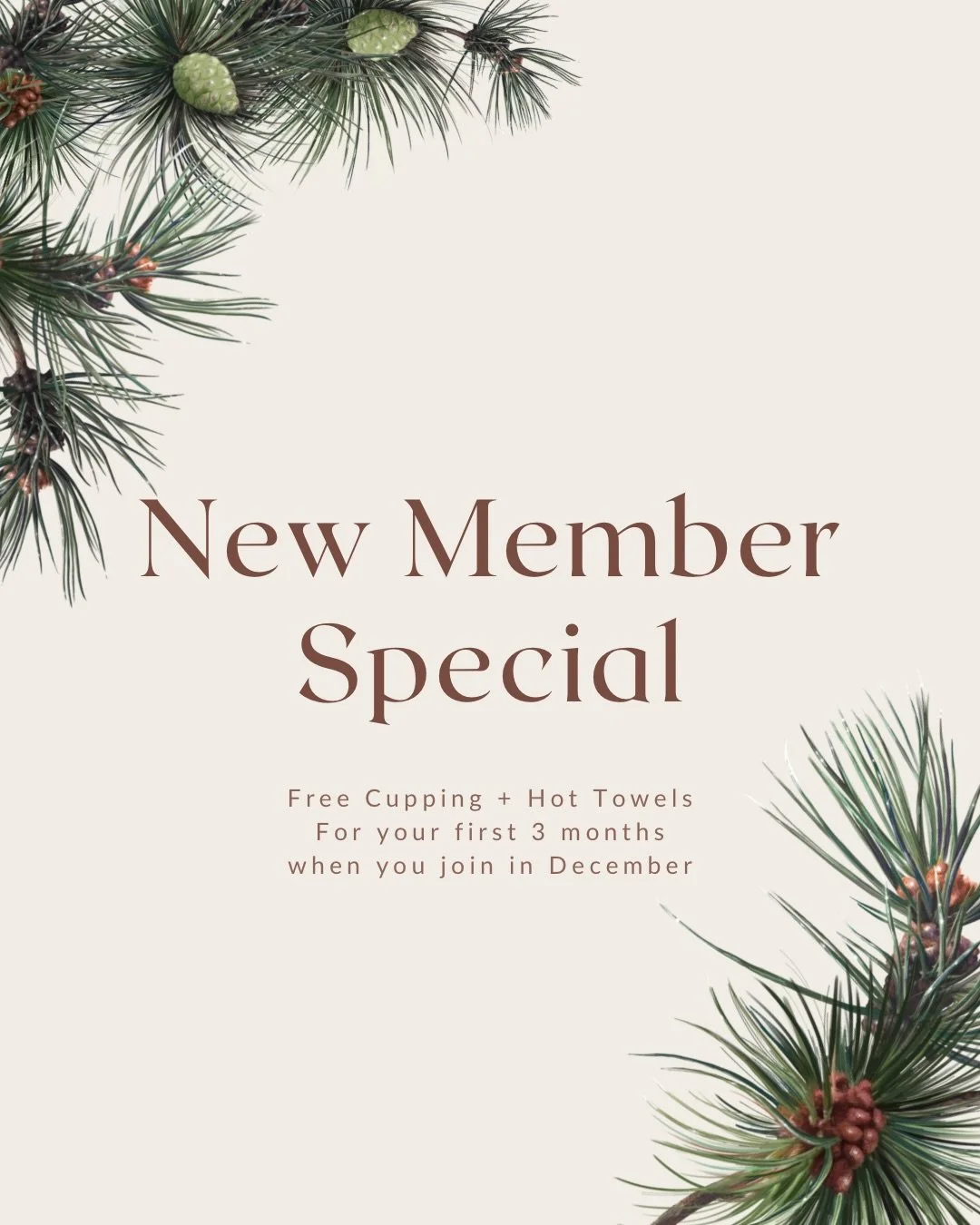 If you&rsquo;ve been thinking about joining the Sol Massage membership, this is your little nudge 🫶

Anyone who signs up in December gets:
&bull; Free cupping add-on
&bull; Free hot towels

Every month for your first 3 months of membership.

It&rsqu