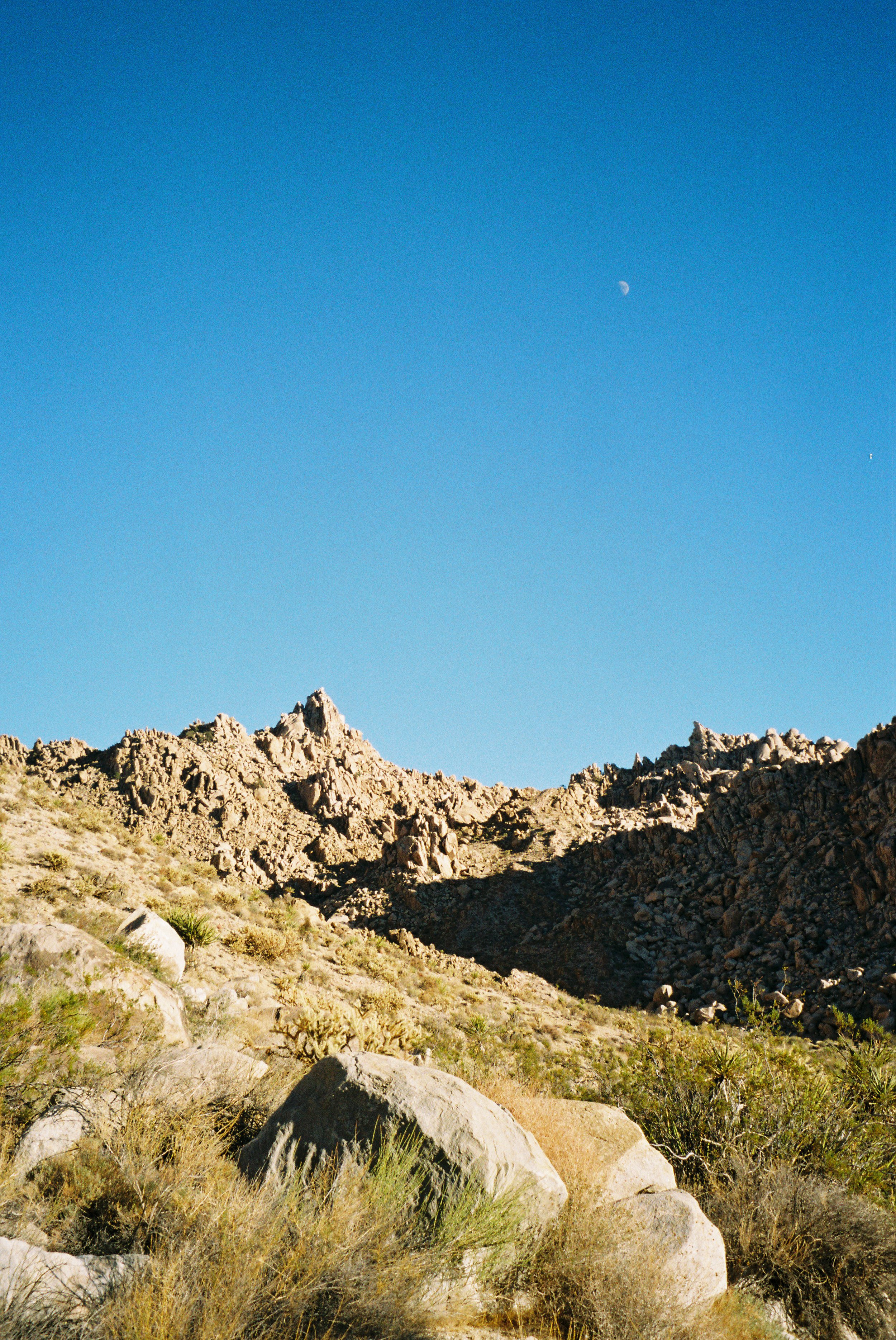 4349713-R1-030-13A.jpg