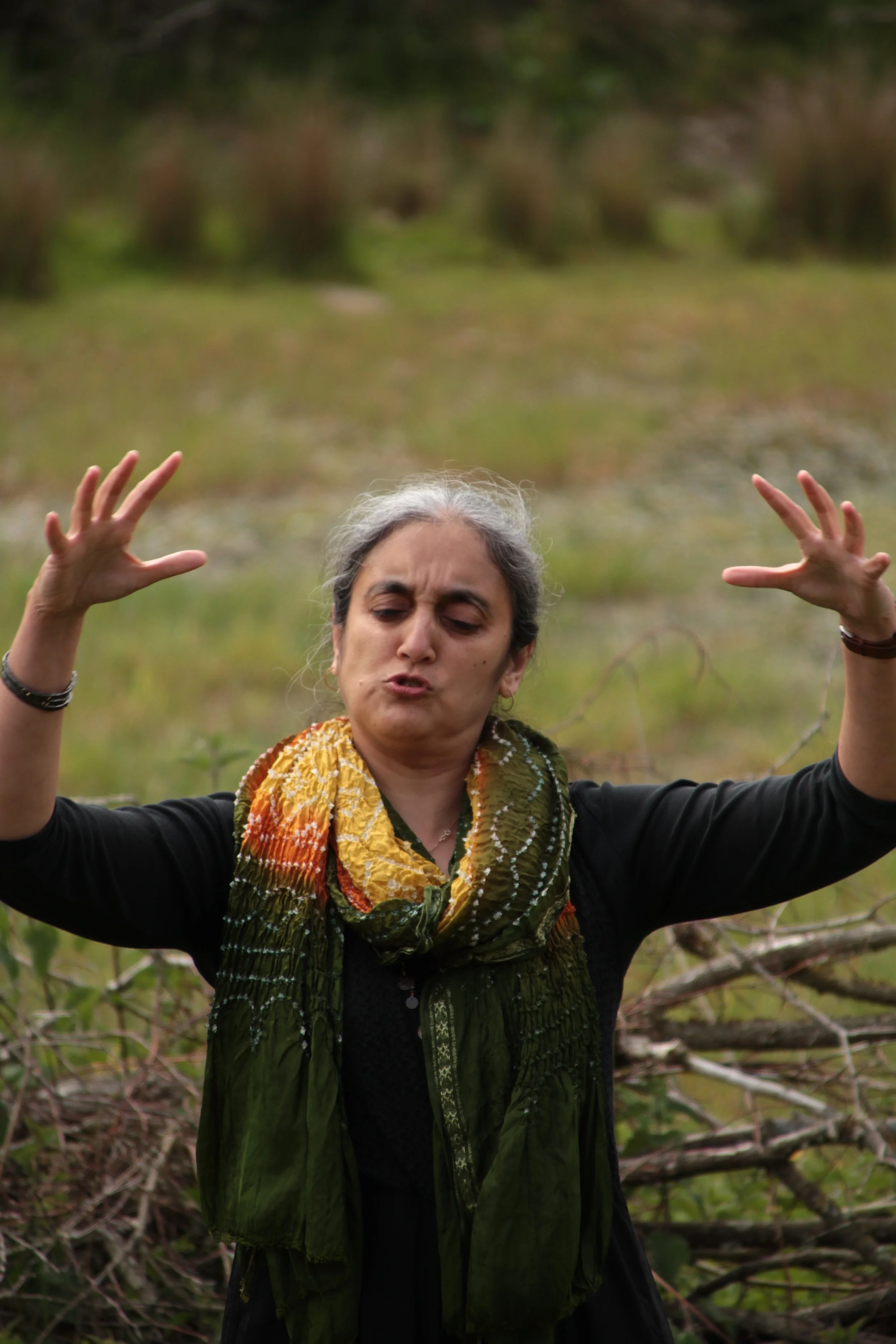 Rewilding Fairytales with Joanna Gilar (online course)