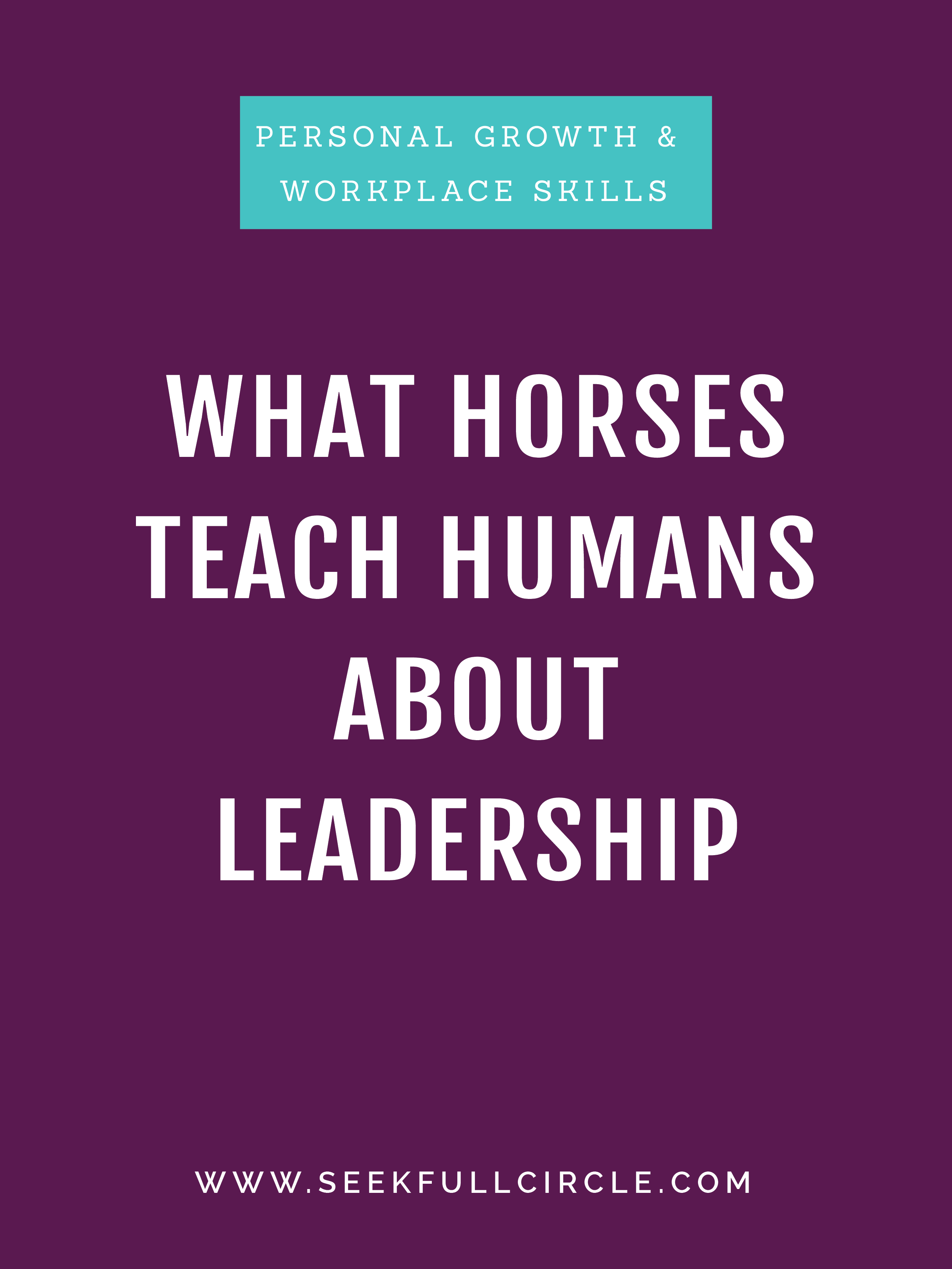 What Horses Teach Humans About Leadership